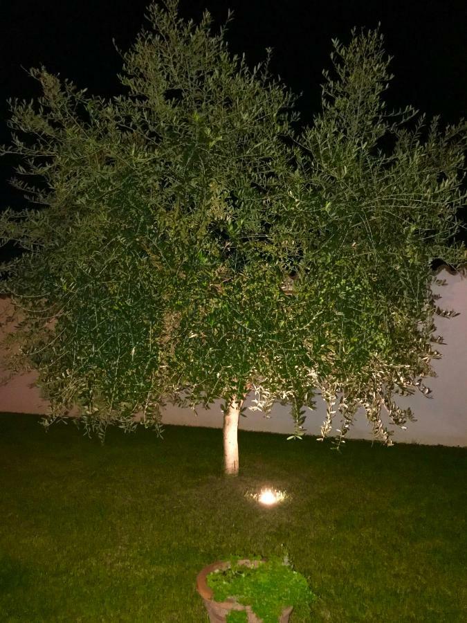 Puntizela-Patty Lejlighed Pula Eksteriør billede